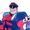 M. Bison